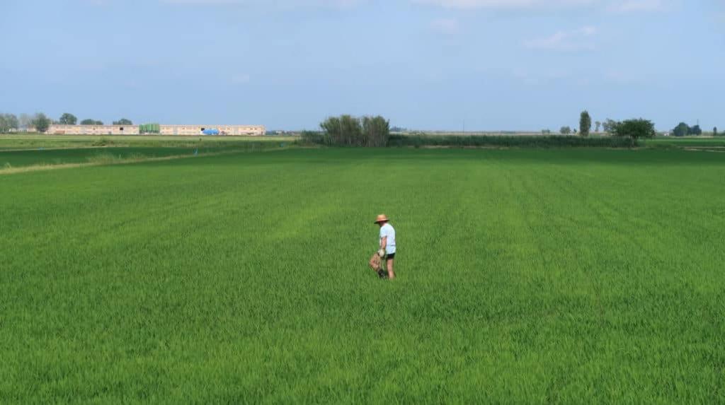 Apartamento Delta Del Ebro Amposta Exteriör bild